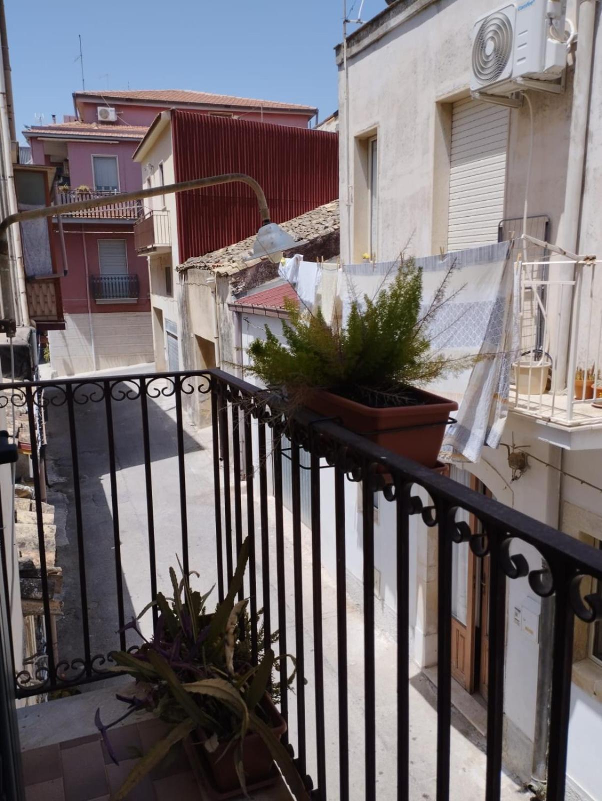Guest house Ficodindia