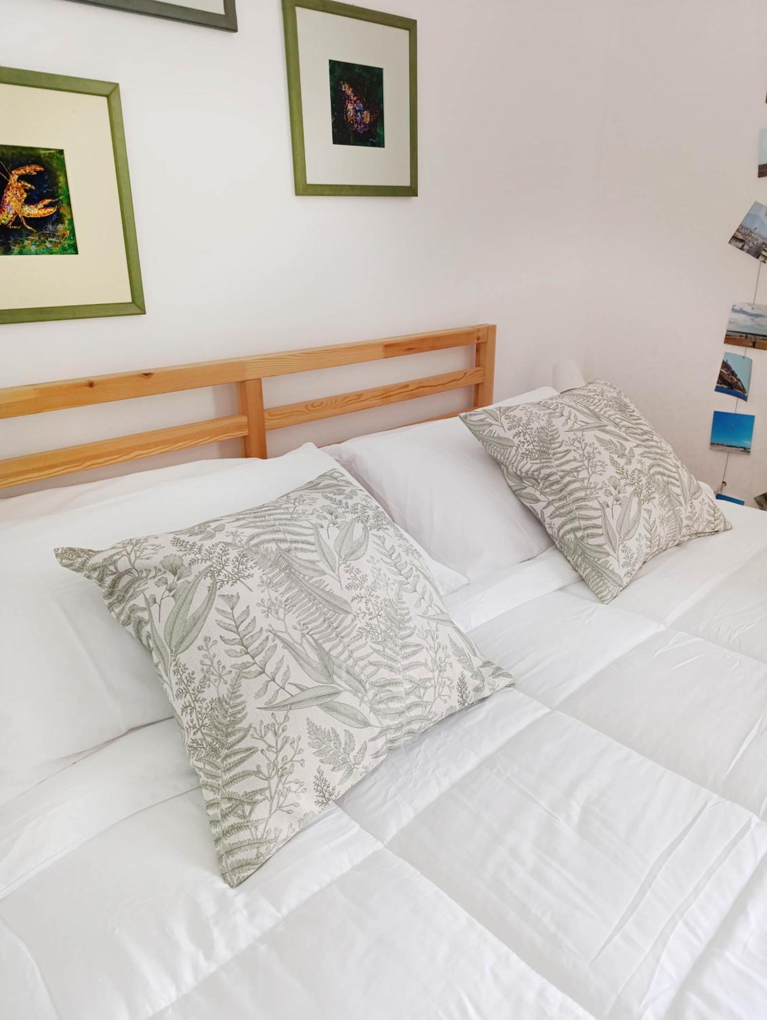 Ficodindia Guest house *